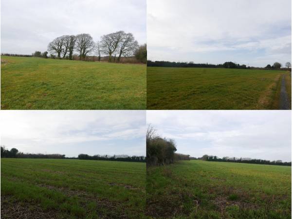 Approx. 25 Acres of Agricultural Land to Let on a 5 Year Lease