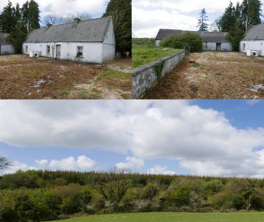 Commercial Forestry Plantation & Derelict Cottage with Outsheds