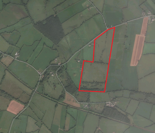 Grazing Land to Let