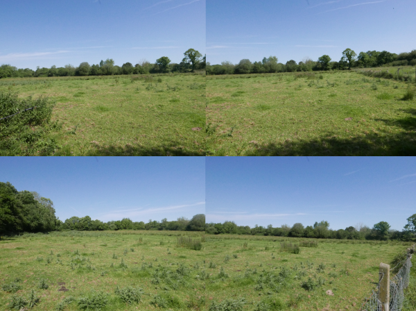 Approx. 12.5 Acres of Agricultural Land