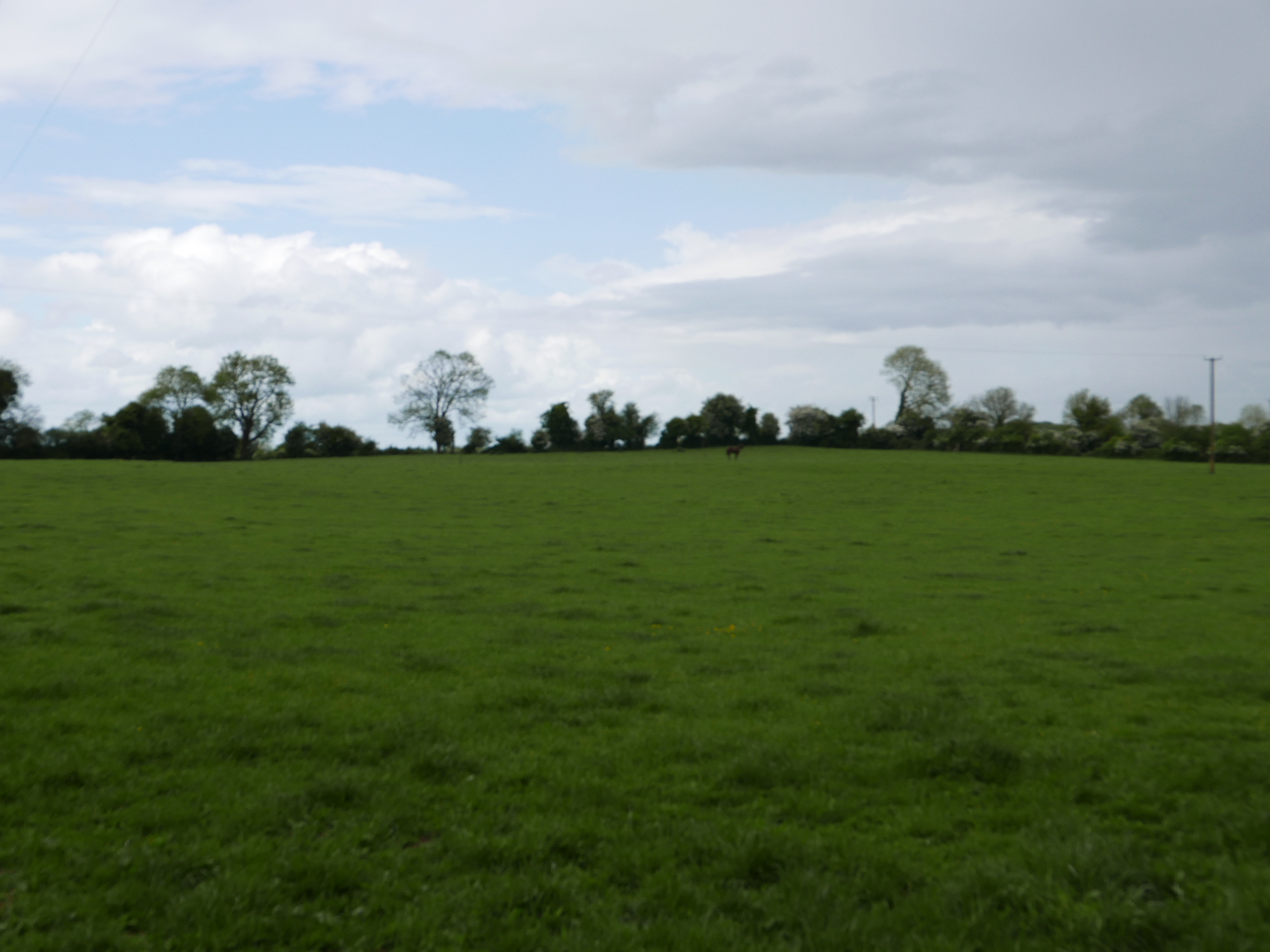 13 Acres Of Prime Agricultural Land